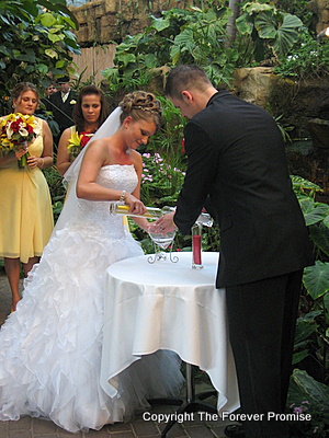 Photo by Quinton Ray